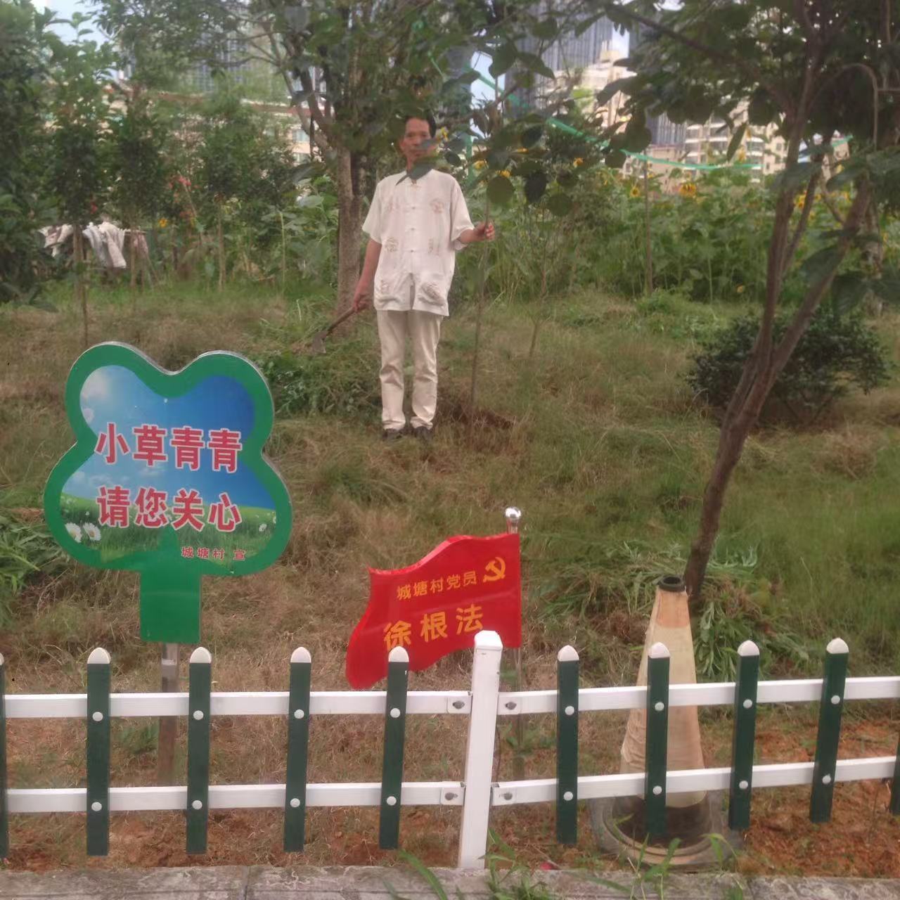 黨員老徐參加組織的義務活動