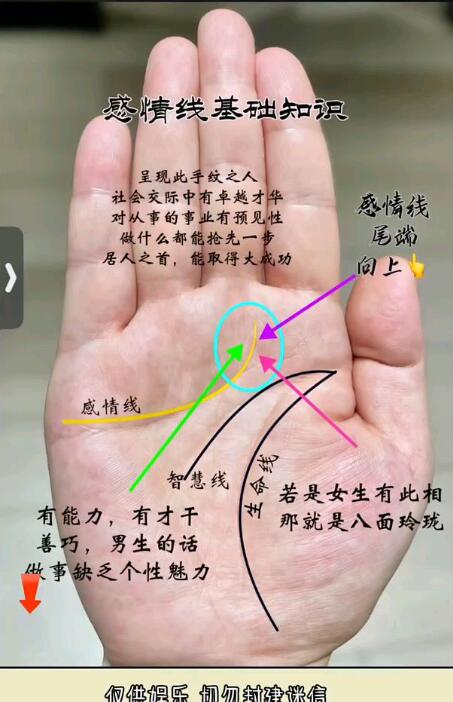 風(fēng)水先生解讀掌中情緣：感情線的分叉密碼