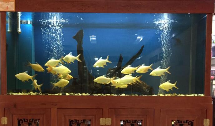 永康風水先生詳聊門店風水怎樣招財及方法