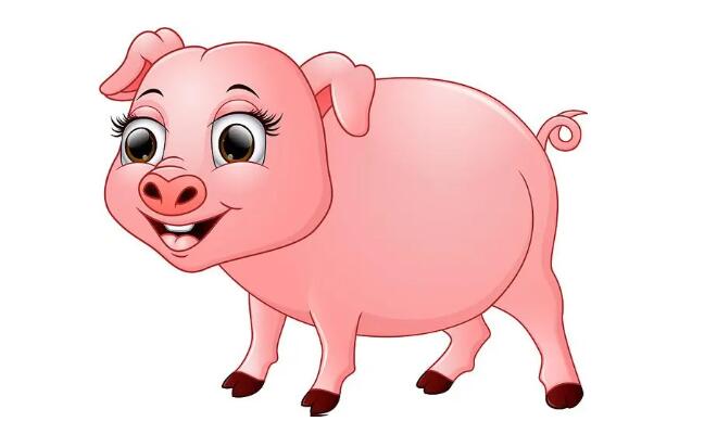 屬豬人2024年運(yùn)勢及運(yùn)程詳解