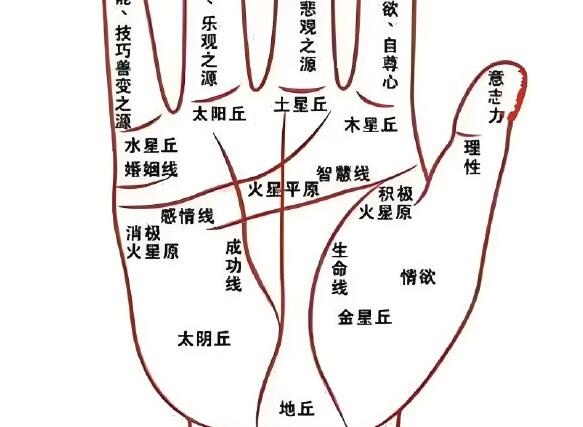 永康風水師教你怎么看掌紋圖解